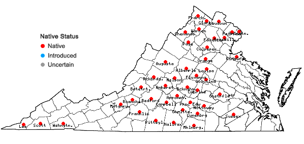 Locations ofEupatorium altissimum L. in Virginia