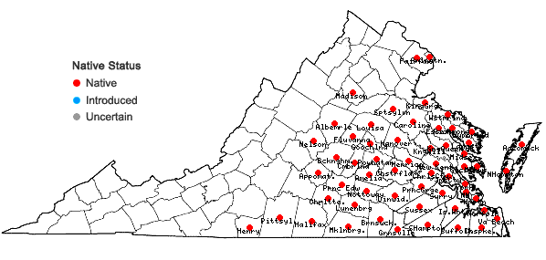 Locations ofEupatorium capillifolium (Lam.) Small in Virginia