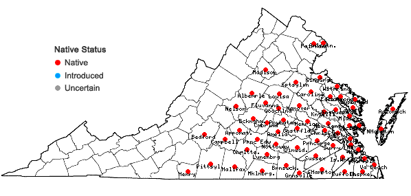 Locations ofEupatorium capillifolium (Lam.) Small in Virginia