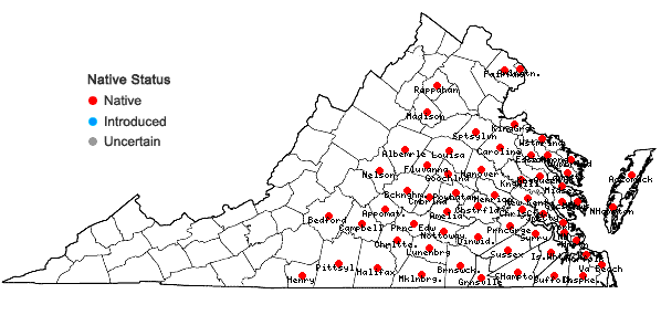 Locations ofEupatorium capillifolium (Lam.) Small in Virginia