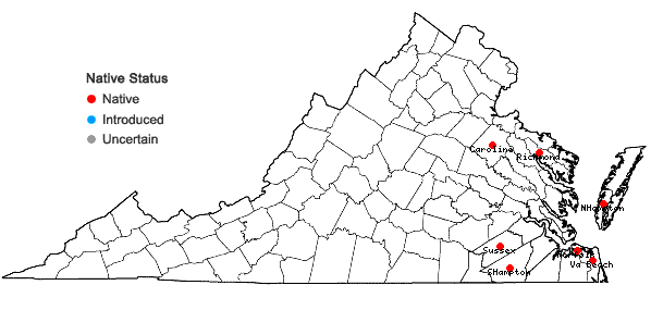 Locations ofEupatorium cordigerum (Fernald) Fernald in Virginia