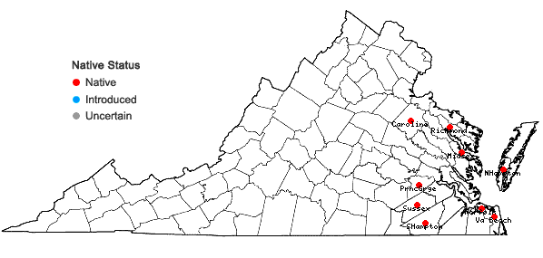 Locations ofEupatorium cordigerum (Fernald) Fernald in Virginia