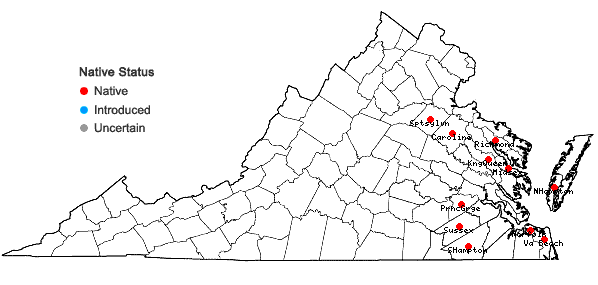 Locations ofEupatorium cordigerum (Fernald) Fernald in Virginia