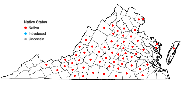 Locations ofEupatorium godfreyanum Cronq. in Virginia