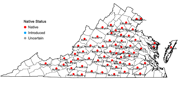 Locations ofEupatorium godfreyanum Cronq. in Virginia