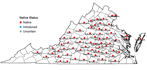 Locations ofEupatorium godfreyanum Cronq. in Virginia