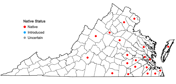 Locations ofEupatorium leucolepis (DC.) Torr. & Gray in Virginia