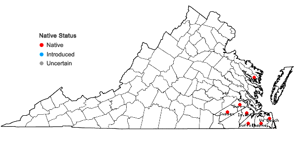 Locations ofEupatorium mohrii Greene in Virginia