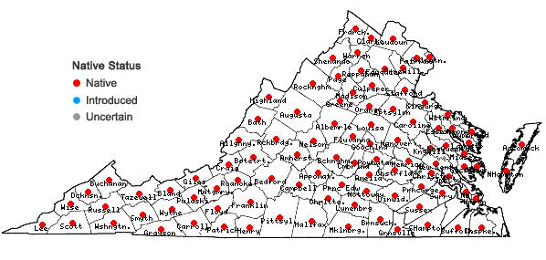 Locations ofEupatorium perfoliatum L. in Virginia