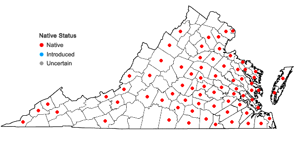 Locations ofEupatorium pilosum Walt. in Virginia