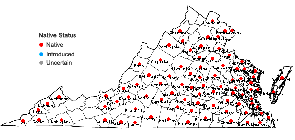 Locations ofEupatorium pubescens Muhl. ex Willd. in Virginia