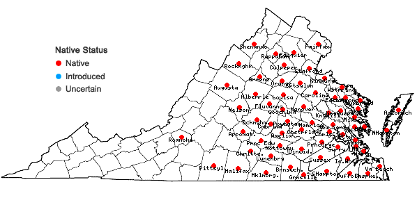 Locations ofEupatorium rotundifolium L. in Virginia