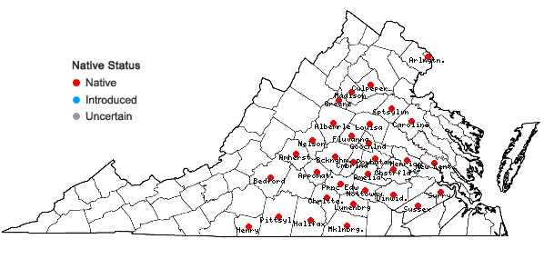 Locations ofEupatorium saltuense Fern. in Virginia