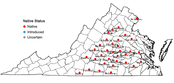 Locations ofEupatorium saltuense Fern. in Virginia