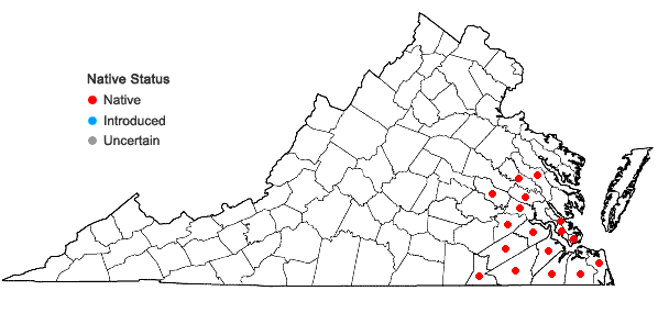 Locations ofEupatorium semiserratum DC. in Virginia
