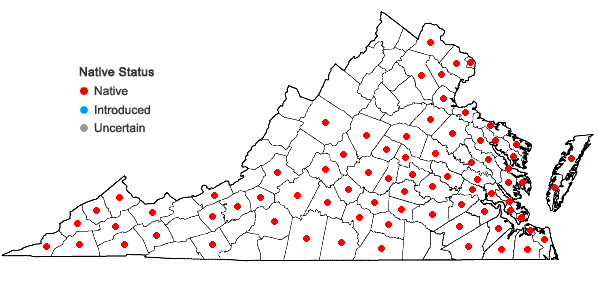 Locations ofEupatorium serotinum Michx. in Virginia