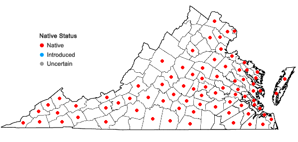 Locations ofEupatorium serotinum Michx. in Virginia