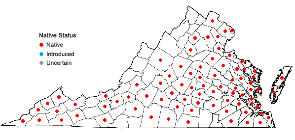 Locations ofEupatorium serotinum Michx. in Virginia