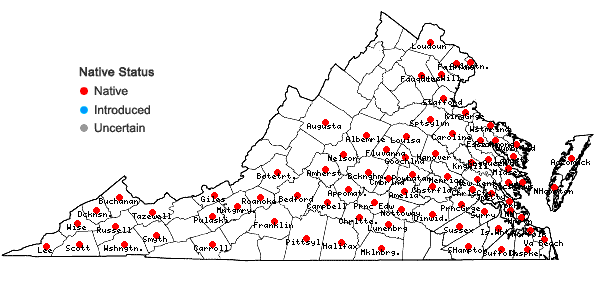 Locations ofEupatorium serotinum Michx. in Virginia