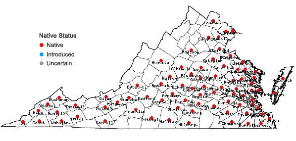 Locations ofEupatorium serotinum Michx. in Virginia