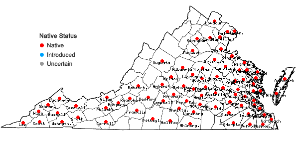 Locations ofEupatorium serotinum Michx. in Virginia