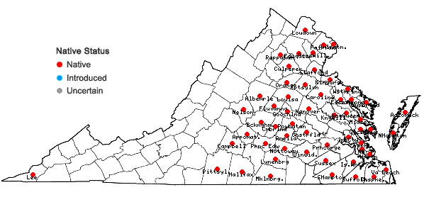 Locations ofEupatorium torreyanum Short and Peter in Virginia