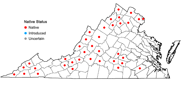 Locations ofEuphorbia commutata Engelm. in Virginia