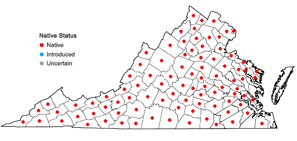 Locations ofEuphorbia corollata L. in Virginia