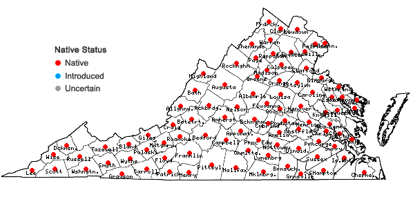 Locations ofEuphorbia corollata L. in Virginia