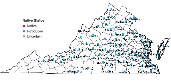 Locations ofEuphorbia cyparissias L. in Virginia