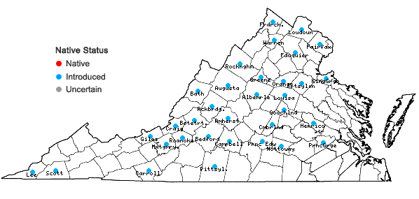 Locations ofEuphorbia davidii Subils in Virginia