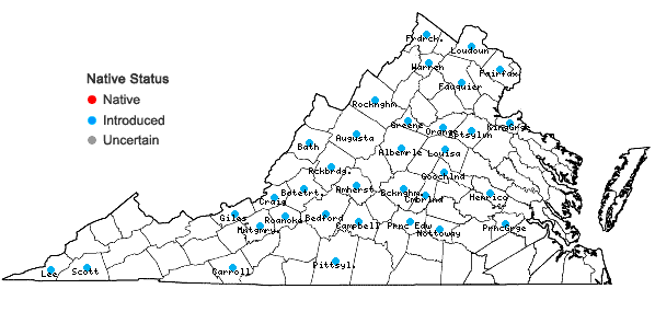 Locations ofEuphorbia davidii Subils in Virginia