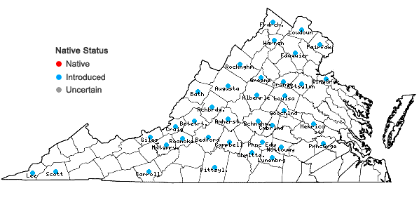 Locations ofEuphorbia davidii Subils in Virginia