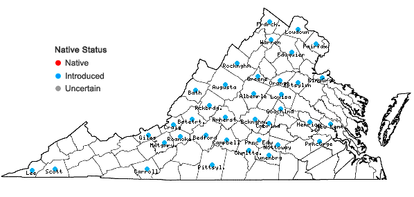 Locations ofEuphorbia davidii Subils in Virginia