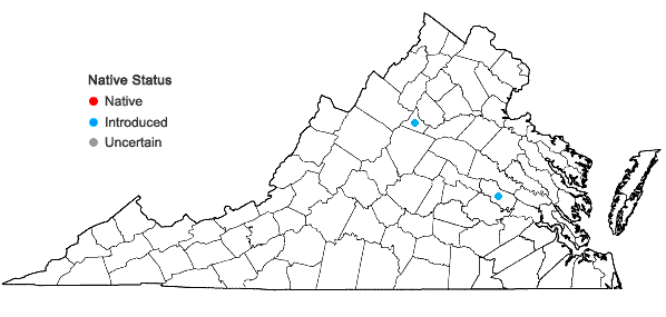 Locations ofEuphorbia esula L. var. esula in Virginia
