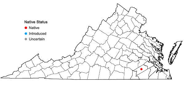 Locations ofEuphorbia exserta (Small) Coker in Virginia