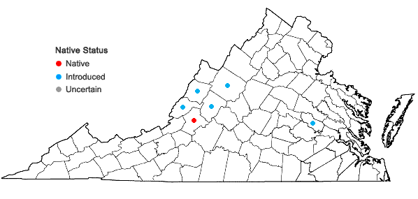 Locations ofEuphorbia falcata L. in Virginia