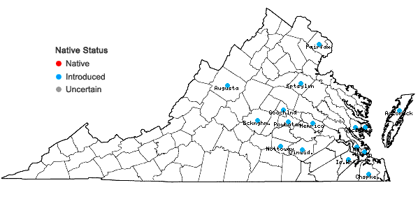 Locations ofEuphorbia helioscopia L. in Virginia