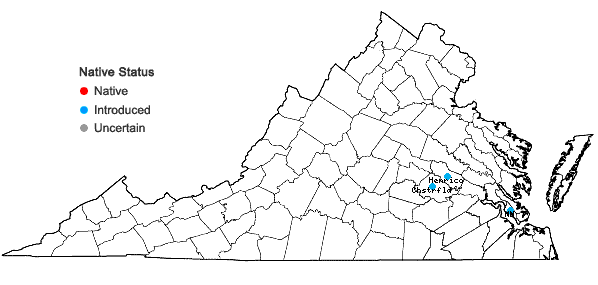 Locations ofEuphorbia hirta L. in Virginia