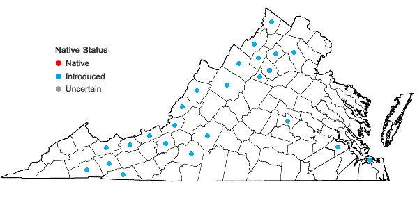 Locations ofEuphorbia lathyris L. in Virginia