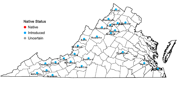 Locations ofEuphorbia lathyris L. in Virginia
