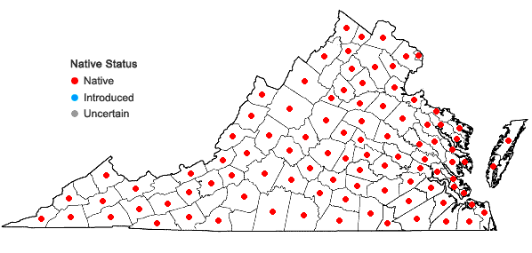 Locations ofEuphorbia maculata L. in Virginia