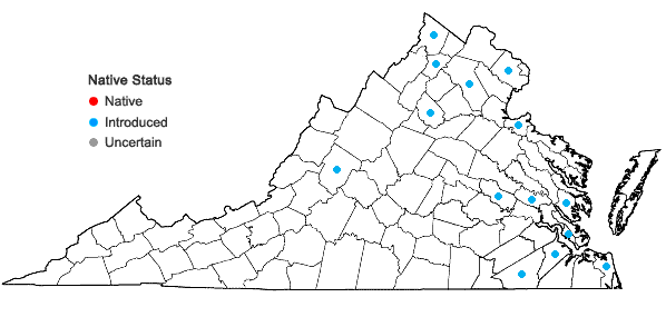 Locations ofEuphorbia marginata Pursh in Virginia