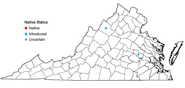 Locations ofEuphorbia peplus L. in Virginia