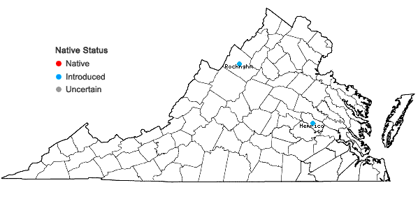 Locations ofEuphorbia peplus L. in Virginia