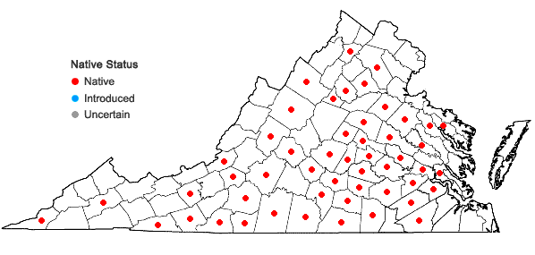 Locations ofEuphorbia pubentissima Michx. in Virginia