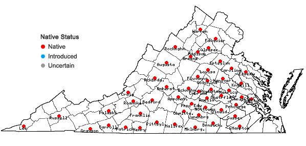 Locations ofEuphorbia pubentissima Michx. in Virginia