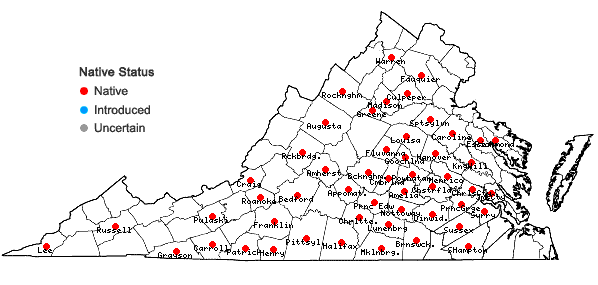 Locations ofEuphorbia pubentissima Michx. in Virginia
