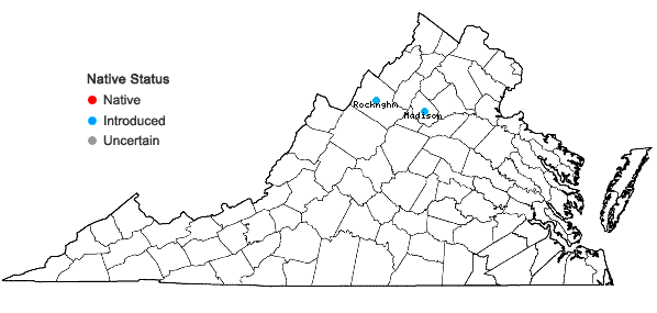 Locations ofEuphrasia stricta J. P. Wolff ex J. F. Lehmann var. stricta in Virginia