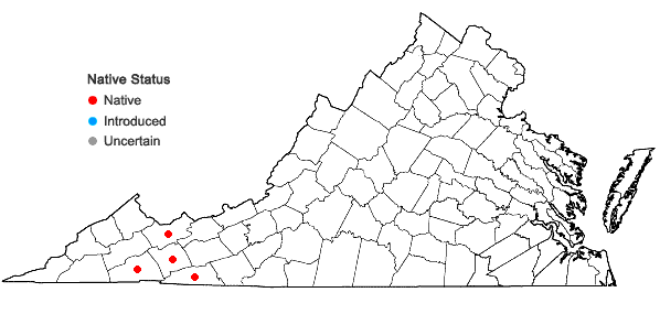 Locations ofEurybia chlorolepis (Burgess) Nesom in Virginia